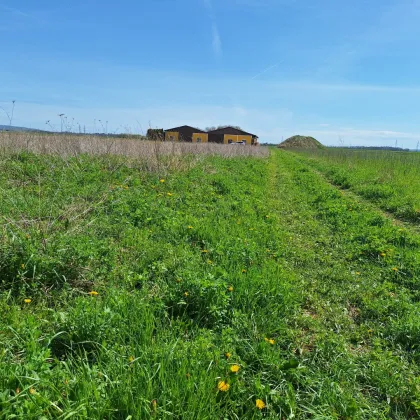 Grünes Paradies zum Kaufen: Landwirtschaft in Niederösterreich - Bild 2