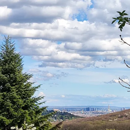 Schöner Baugrund am Exelberg mit teilweise Wienblick - Bild 3