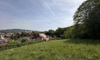 Einzigartiger 2.000m² Villen Baugrund in Bestlage am Buchberg - Klosterneuburg