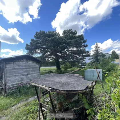 TOLLES BAUGRUNDSTÜCK IN LIESING - PERFEKT FÜR EIN DOPPELHAUS ODER IHR EIGENHEIM - Bild 3