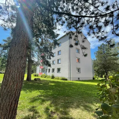 Sonnige 3 Raumwohnung in ruhiger Siedlungslage mit Balkon! - Bild 2