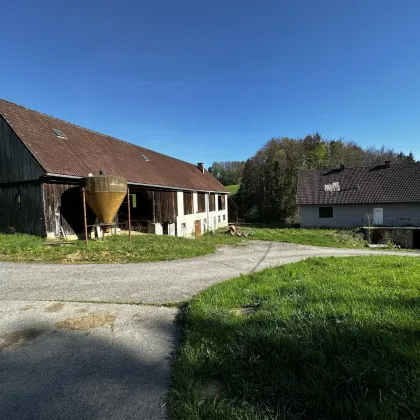 Malerisches Grundstück in Leibnitz/Fötschach in traumhafter Aussichtslage - Liegenschaft mit Altbestand - Bild 2