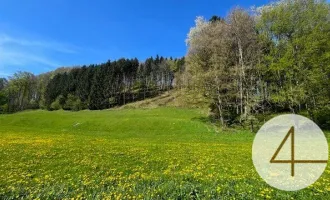 Baugründe in wunderschöner, sonniger Lage! Ein Höchstmaß an Lebensqualität!