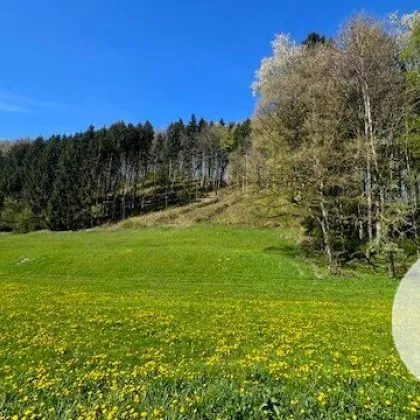 Baugründe in wunderschöner, sonniger Lage! Ein Höchstmaß an Lebensqualität! - Bild 2