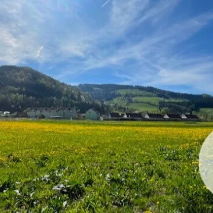 Für ein natürliches Wohlfühlerlebnis – individuell planbares Stockhaus in sonniger Lage! - Bild 3