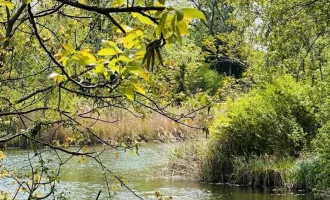 Wunderschöner Eigengrund - direkt am Mühlwasser - ganzjährig wohnen - 1220 Wien