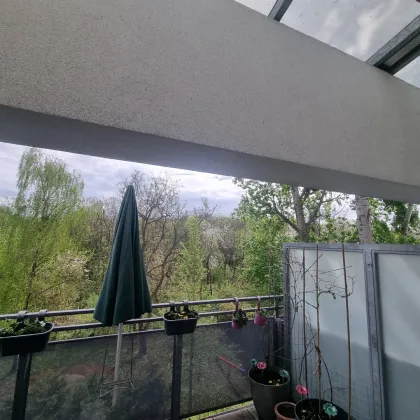 Provisionsfrei: Wohnen in der NATUR - Balkon, Terrasse und Dachgarten, ein Traum 4 Zimmer DG-Wohnung - Bild 2