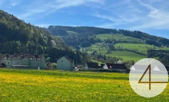 Im Mostviertel blühen wieder die Bäume ... - Baugründe in wunderschöner, sonniger Lage!