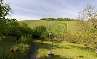 Einzellagenjuwel - 2.500m2 Grundstück zwischen den Weinreben am Nußberg