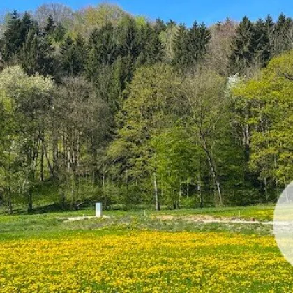 Bauträgerobjekt im Mostviertel - Baugründe in wunderschöner, sonniger Lage! - Bild 3