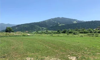 Altenmarkt im Pongau: Gewerbegrundstück ca. 4.000 m² neben LIDL zu mieten