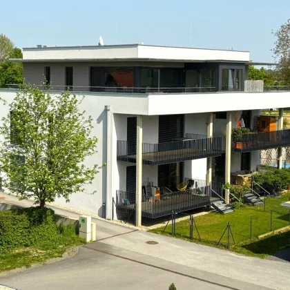 Modernes Penthouse mit eigenem Liftzugang direkt in die Wohnung und dreiseitiger Dachterrasse mit Wintergarten - Bild 2