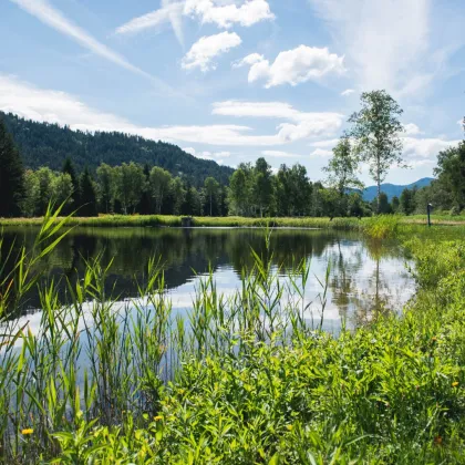 83 m² MAISSONETTE MIT PRIVATTEICH! NEUE FERIENWOHNUNGEN MIT ZWEITWOHNSITZ-WIDMUNG ODER TOURISTISCHER VERMIETUNG IM NATURPARADIES LÄNGSEE IN KÄRNTEN! - Bild 2