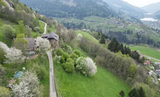 LANDWIRTSCHAFT nahe BAD KLEINKIRCHHEIM zu VERKAUFEN