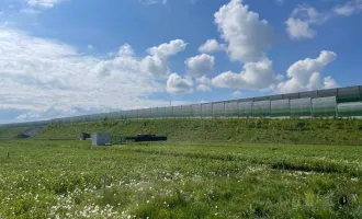 KLEINGARTENGRUNDSTÜCK in Wieselburg / Petzenkirchen zu mieten!