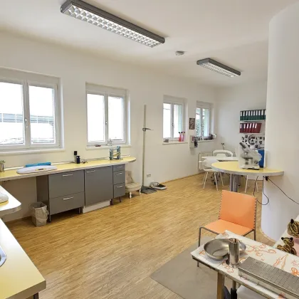 Moderne Büro-/Praxisfläche mit Garten & Parkplatz in Spittal/Drau - perfekt für Ihr Business! - Bild 2