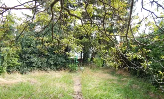 Traumhaftes Baugrundstück für Ihr Eigenheim in Brunn am Gebirge mit Baugenehmigung