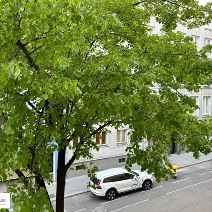 Helle 3 Zimmer Stilaltbauwohnung mit kleinem Balkon - Bild 3