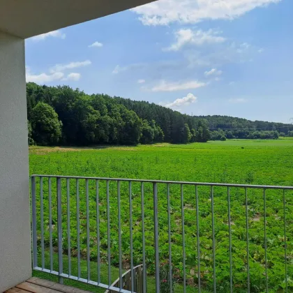 SONNE-RUHE-GRÜNBLICK 2 ZI mit Loggia,Garten,Carport - Bild 2