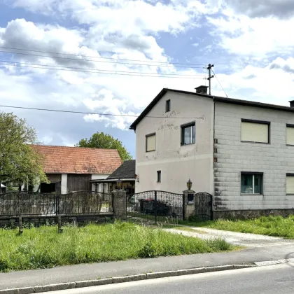 -- PFERDE UND MEHR --  !! MOSCHENDORF !! Wohnhaus mit ca. 490 m2 Nfl. in Ortsrandlage - arrondierter Eigengrund mit ca. 8.300 m2 !! - Bild 2