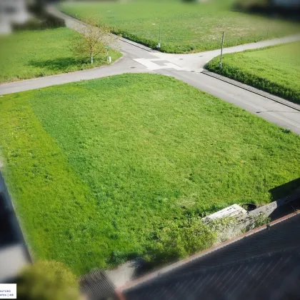 Linz/Leonding: TRAUMGRUNDSTÜCK sucht Traumhaus - Bild 3