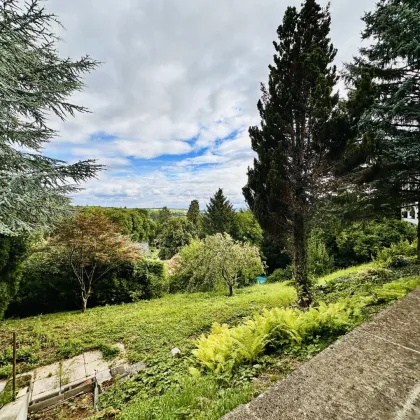 Super Preis-/ Leistungsverhältnis, erholsam und mit Blick auf den Kurpark von Bad Sauerbrunn! - Bild 3