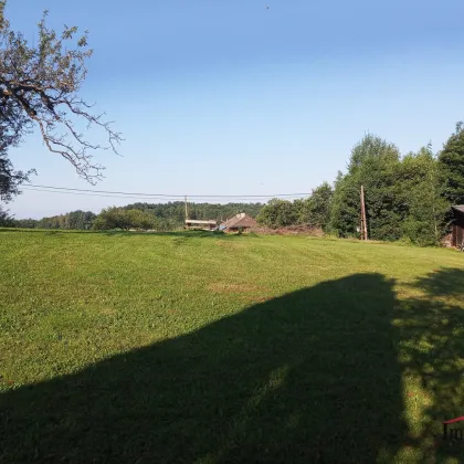 EINZIGARTIG - Wald, Wiesen, Bergblick und ein Bungalow! - Bild 2