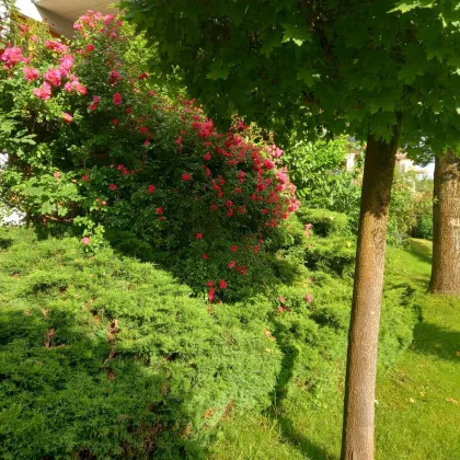 DEUTSCHLANDSBERG: Zentrale Wohnung mit Garten und Tiefgaragenplatz - Bild 3