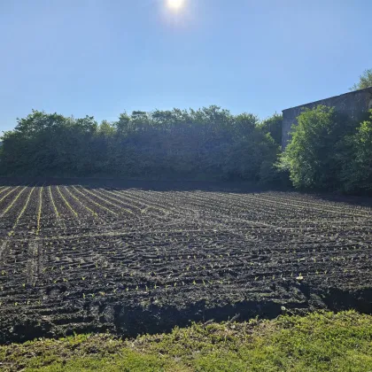 Super Gelegenheit! Traumhaftes Bauträgergrundstück mit attraktiver Planstudie in Stainz: Verwirklichen Sie Ihr Traumprojekt in Top-Lage" Gleich Anfragen! - Bild 2