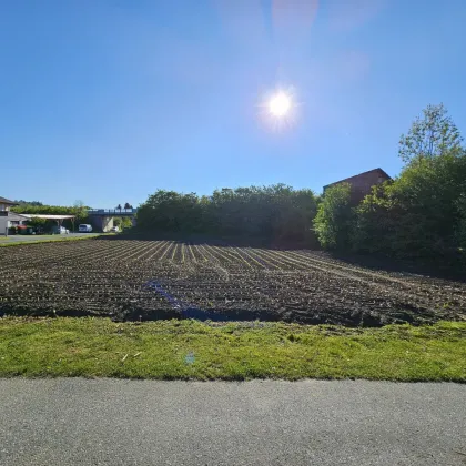 Sensationelles Bauträgergrundstück mit attraktiver Planstudie im Zentrum von Stainz, in bester Lage!!! - Bild 2