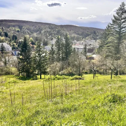 Perfektes Baugrundstück für Ihr Traumhaus in Klosterneuburg - Jetzt zugreifen! - Bild 2