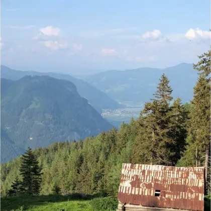 14 ha Wald und Weide mit Hüttenbauplatz und Stallgebäude - Bild 2