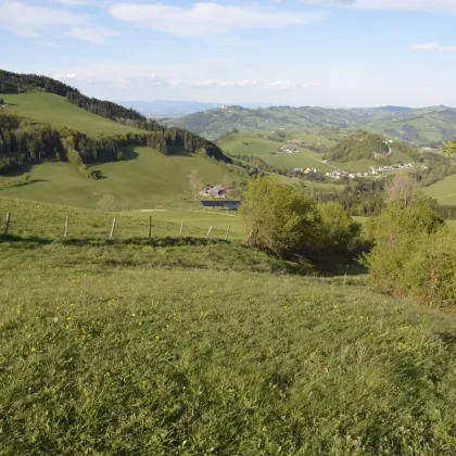 Grundstück mit traumhaftem Bergpanorama in Waidhofen an der Ybbs - Bild 3