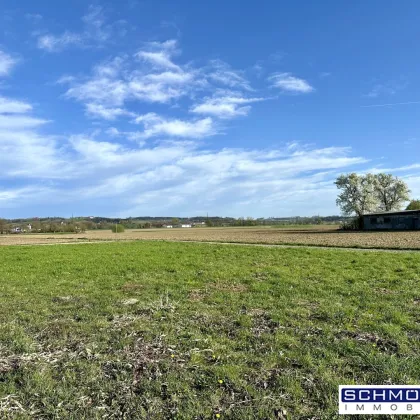 Sonniges Grundstück am Ströblberg in Gunskirchen - Bild 3