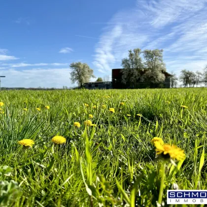 Sonniges Grundstück am Ströblberg in Gunskirchen - Bild 2