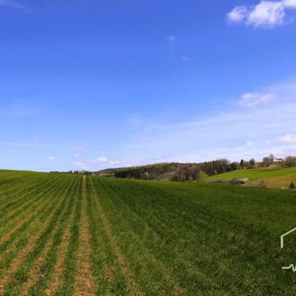 Bauen Sie Ihr Traumhaus in Olbendorf/Burgenland - Grundstück in Ruhelage mit Panoramablick zum Kauf! - Bild 2