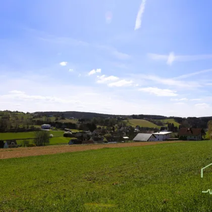 Bauen Sie Ihr Traumhaus in Olbendorf/Burgenland - Grundstück in Ruhelage mit Panoramablick zum Kauf! - Bild 3