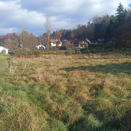 Preisreduktion - Zentral liegendes, ebenes, sonniges Grundstück in Ragnitz - Bild 2