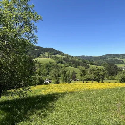 Green green grass of home - sonnige, einzigartige Lage im Grünen - einfach ein Grünoase! - Bild 3