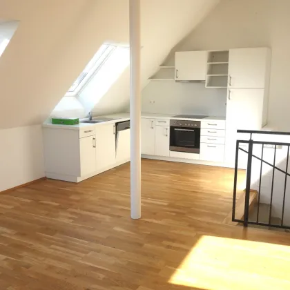 HELLE 3-ZIMMERWOHNUNG MIT TERRASSE NÄHE ALTE DONAU! - Bild 3