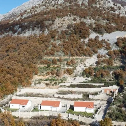 Bauen Sie Ihr Traumhaus in Montenegro - Großes Grundstück zum Top-Preis von 145.000,00 €! - Bild 3