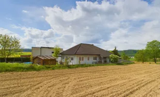 Einfamilienhaus mit herrlichem Garten, Terrasse und Gewerbeflächen in Eggendorf am Fuß des Stiftes Göttweig