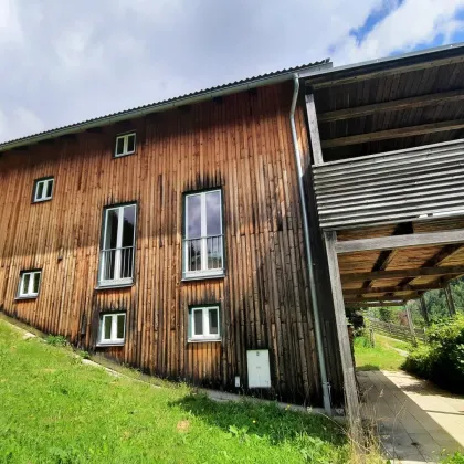 Natur Pur ! Ferienhaus  / Wohnhaus nahe dem Weißensee in Kärnten! - Bild 3