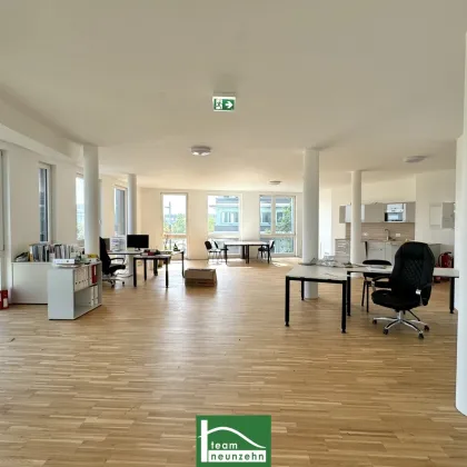 Büro mit Urlaubsfeeling gefällig? Arbeiten mit Blick auf den Asperner See - Moderne Bürofläche in der Seestadt - Bild 2