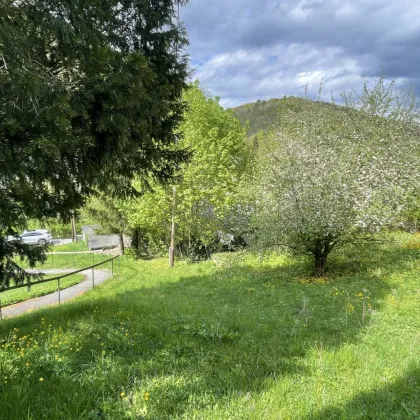 Traumhafte Immobilie mit Entwicklungspotential in grüner Oase mit schönem Garten und Fernblick | ZELLMANN IMMOBILIEN - Bild 3