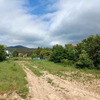 Wunderschönes und seltenes Grundstück mitten in Sooss, schöner Fernblick und RUHE, kein Fahnengrundstück - Bild 2