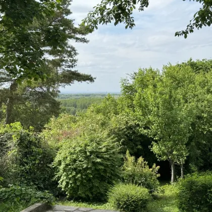 PROVISIONSFREI - WOHNUNG MIT GROSSEM EIGENGARTEN UND FERNBLICK - Bild 3