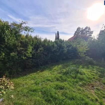 Bestandshaus mit schönem Garten in beliebter Wohngegend! Ca. 779m² Baugrundstück mit ca. 57m² Haus mit Keller in gefragter Lage! PROVISIONSFREI direkt vom Eigentümer! - Bild 3