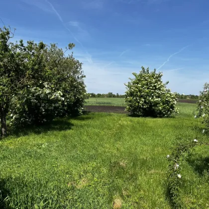 Traumhaftes Baugrundstück in Ungarn - Ihr Eigenheim wartet auf Sie! - Bild 3