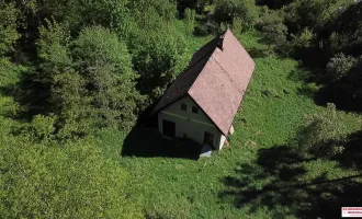 Naturnah in Gloggnitz! Großer Baugrund zu verkaufen!